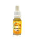 Farbessenz Orange (15ml)